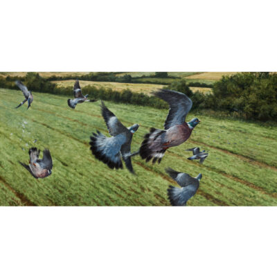 woodpigeons limited edition art print by andrew ellis