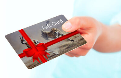Andrew Ellis Gift Card