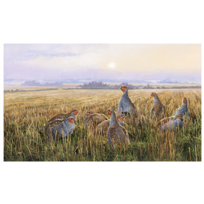 a new day canvas print